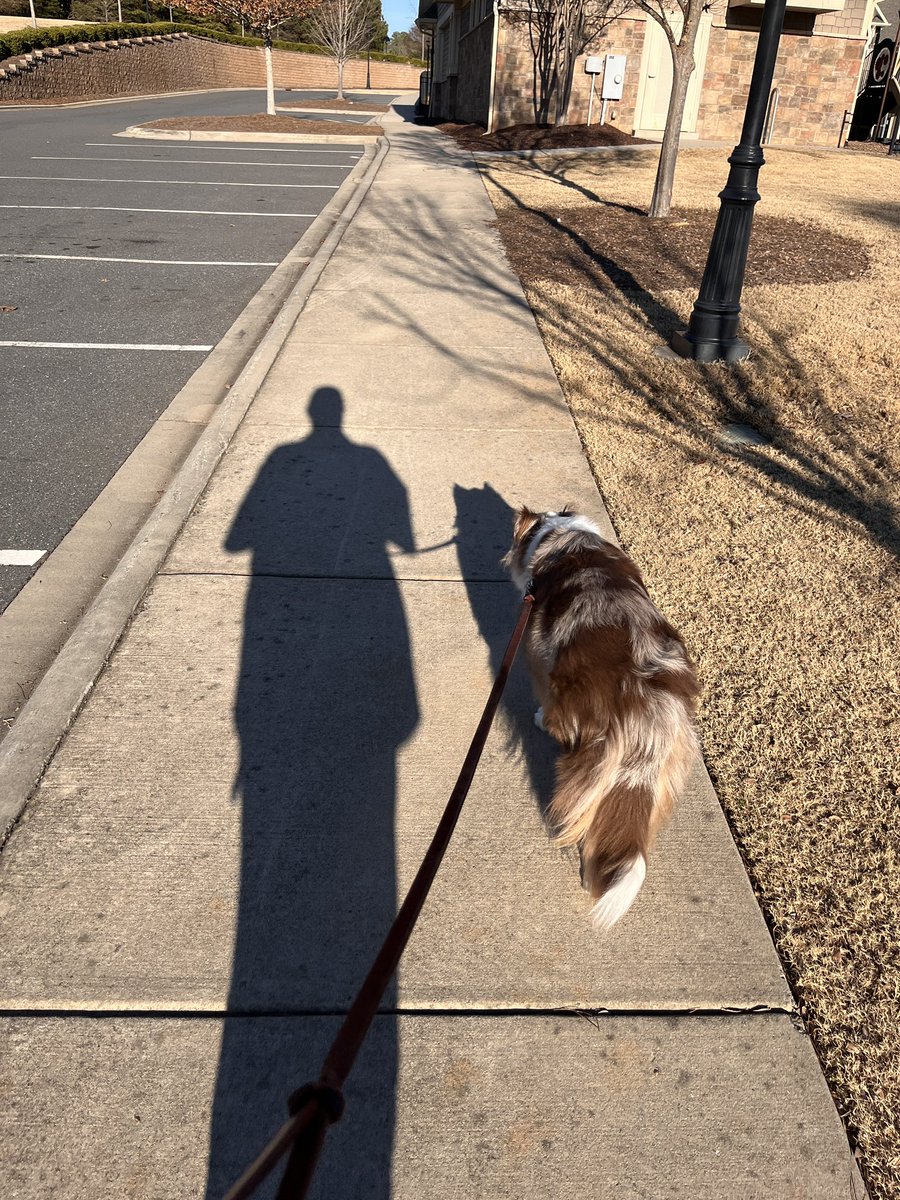gt350wab's tweet photo. @TheJonasKnox , sunny and 70s in NC, walking with The Prince of Darkness and Swish the Wonder Dog. https://t.co/fqxnxk2U3L