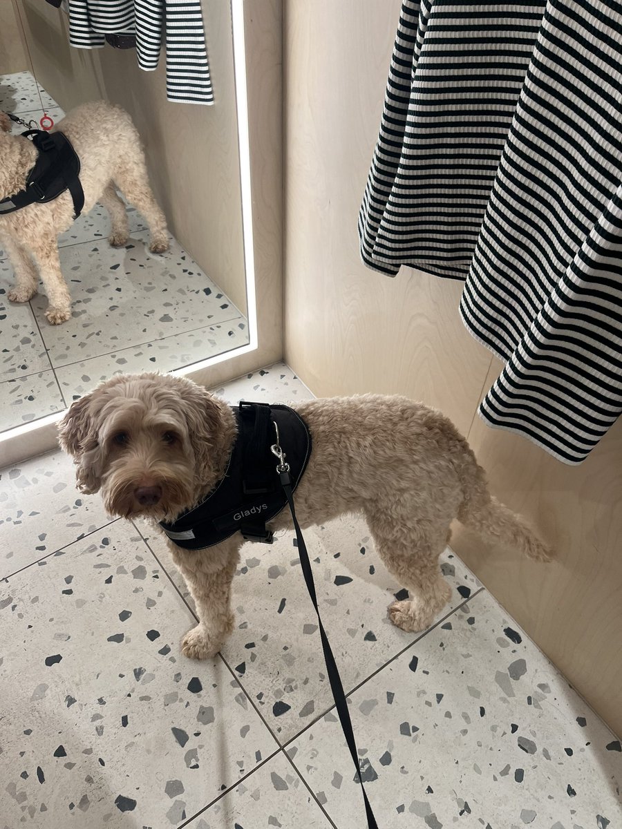 Dippy Books tweet media