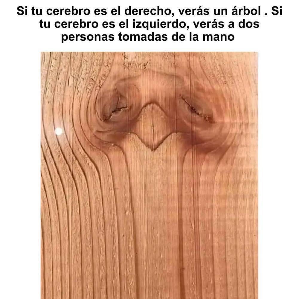 Más Ciencia tweet media