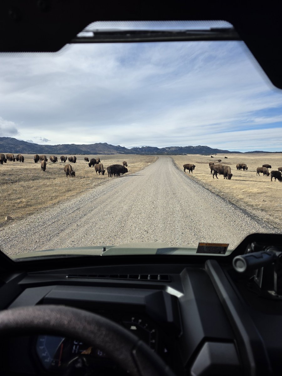 Charles Hoskinson tweet media