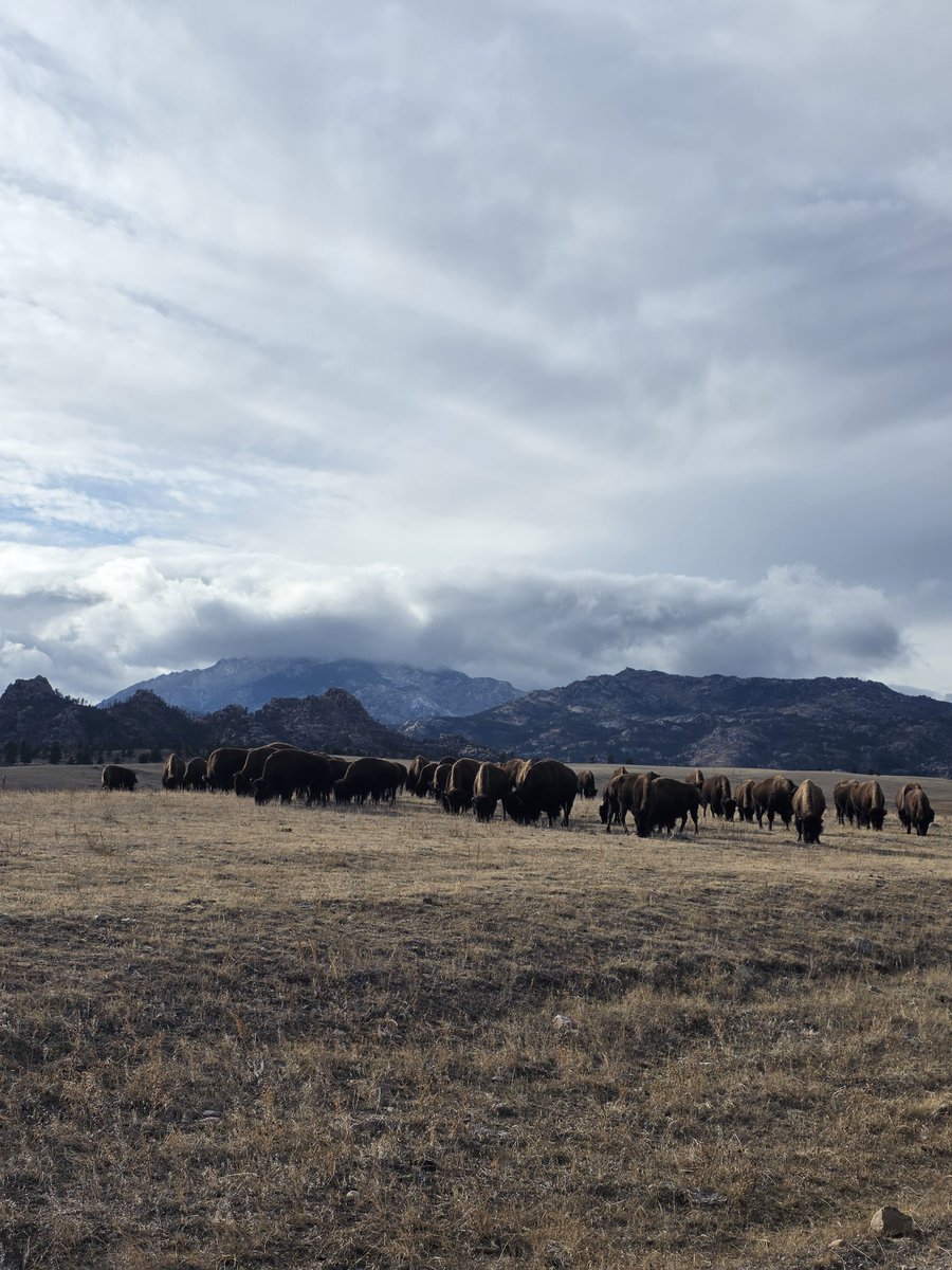 Charles Hoskinson tweet media