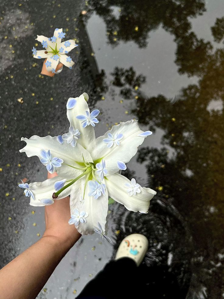 greenvibe's tweet image. 