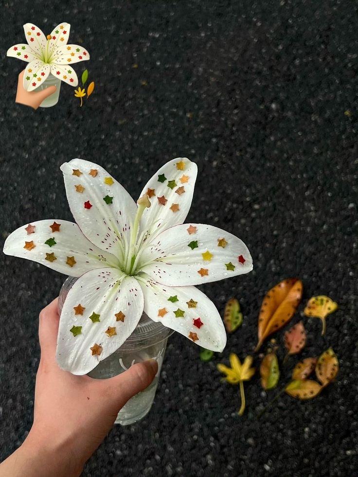 greenvibe's tweet image. 