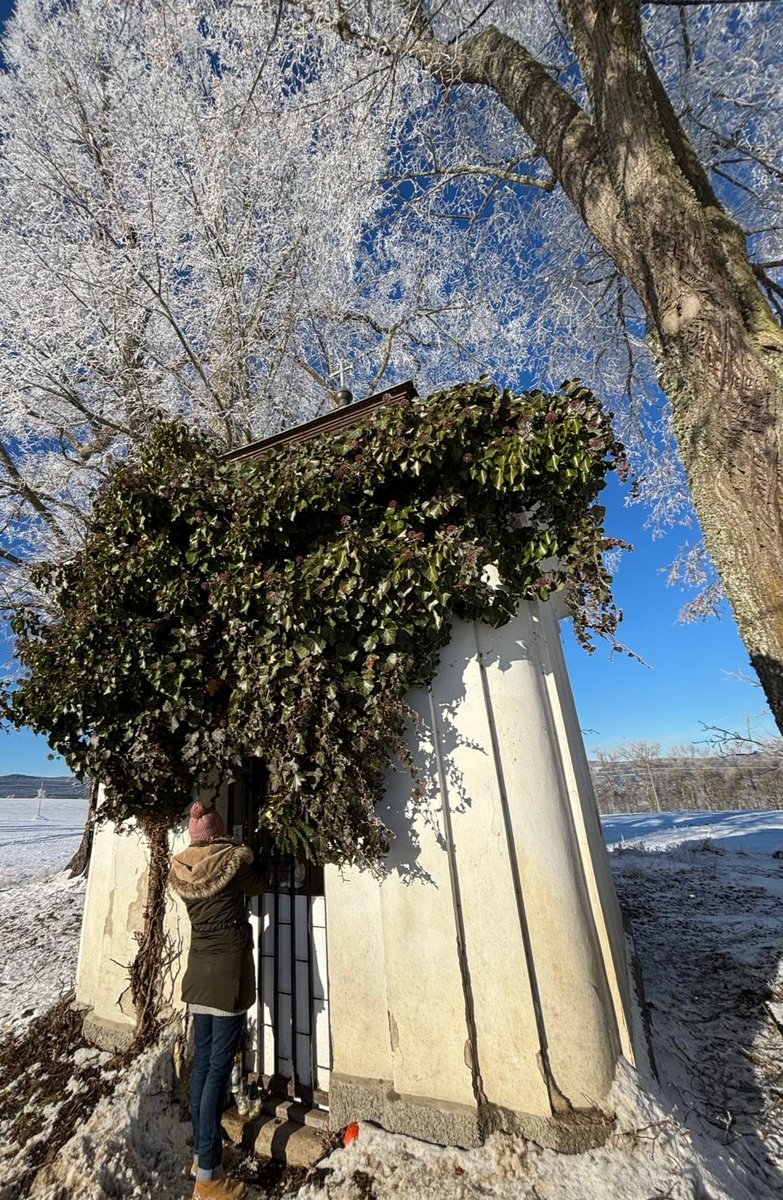 ScheerTamara's tweet image. First World War memorial tries to hide 😉 

#DolniVltavice #czech