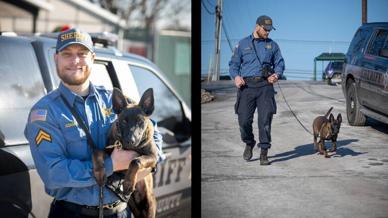 TAPinto.net tweet media