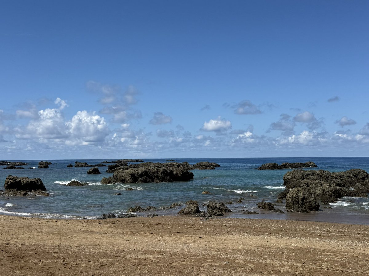 Katy Cochran tweet media