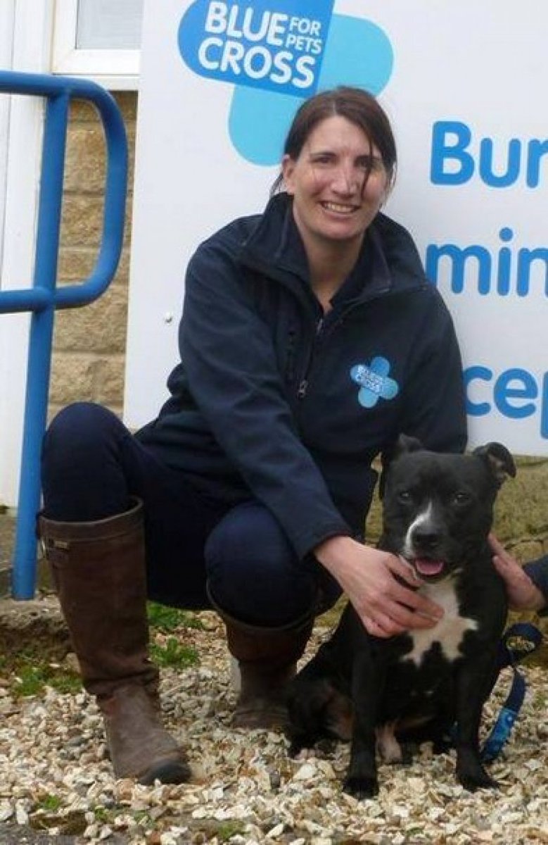 Julie -DogCast Radio tweet media