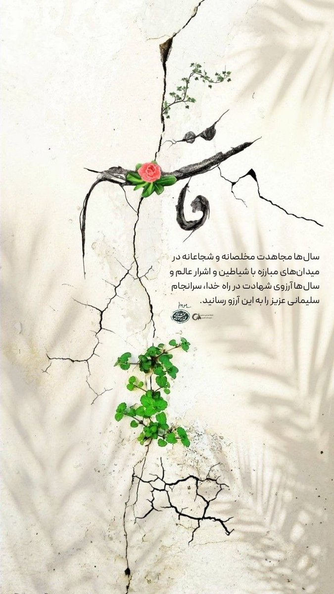 میانبر tweet media
