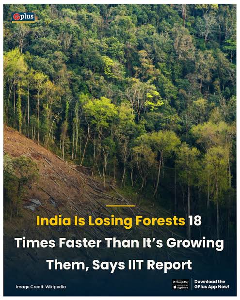 Dilthi Gujarati tweet media