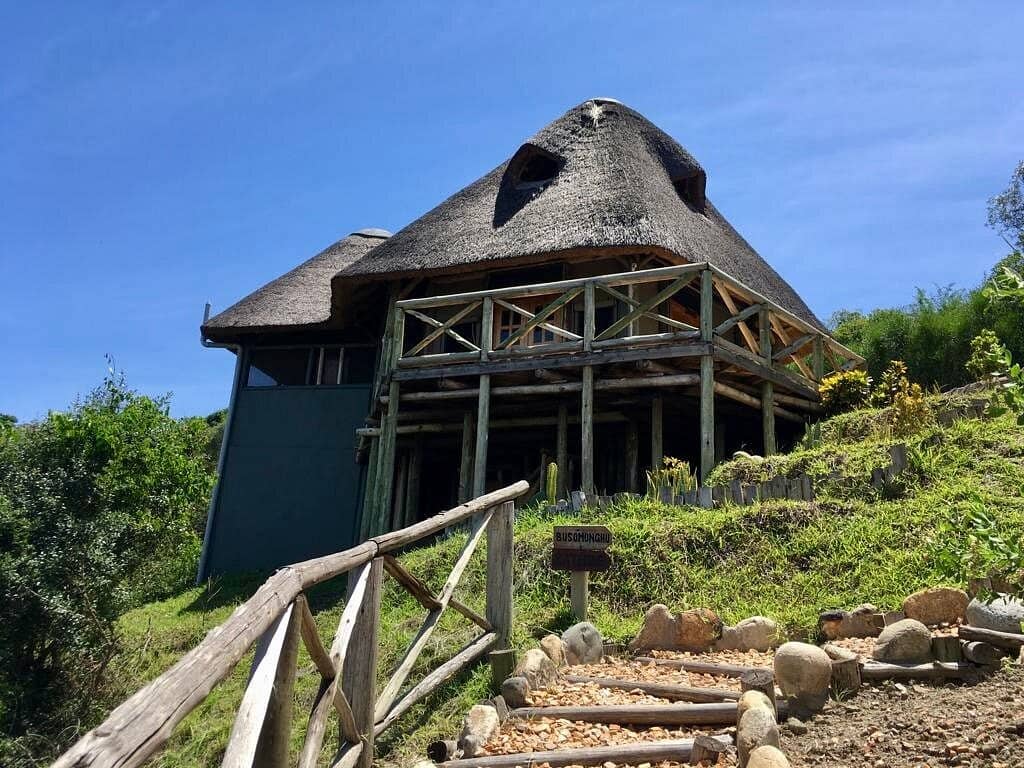 Two lodges, one unforgettable Ugandan adventure. 
​📍 Tilenga Safari Lodge (Pakwach)
📍 Kikorongo Safari Lodge (Kasese/QEPark)
​Whether you’re chasing lions or sunset crater views, these spots are a must-stay!