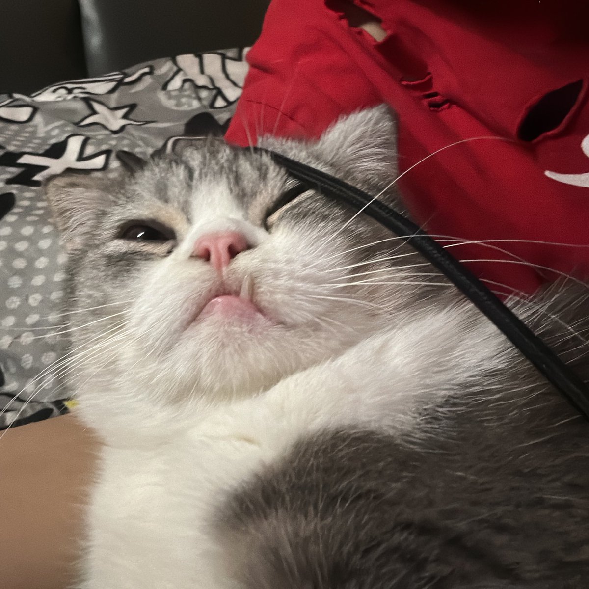 cuenst's tweet image. 