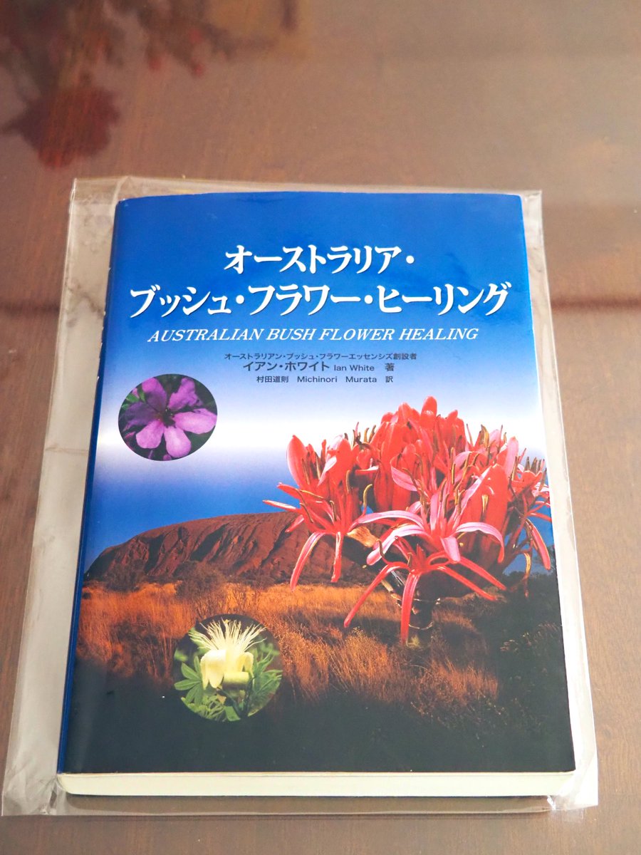 ブッシュの講座で一緒の友人から 譲っていただいたイアンさんの御本