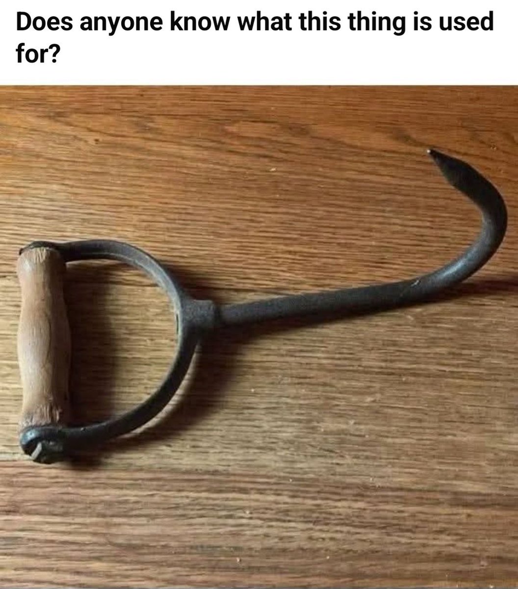 Roberta Fresquez tweet media