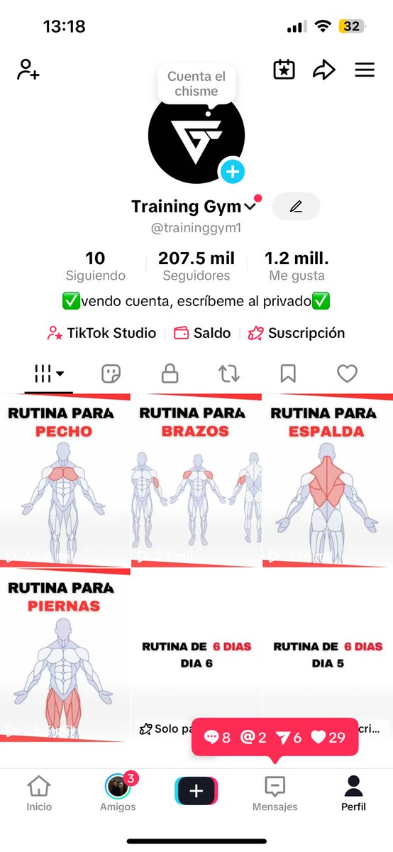 Vendo cuenta de tiktok con 207 mil seguidores.