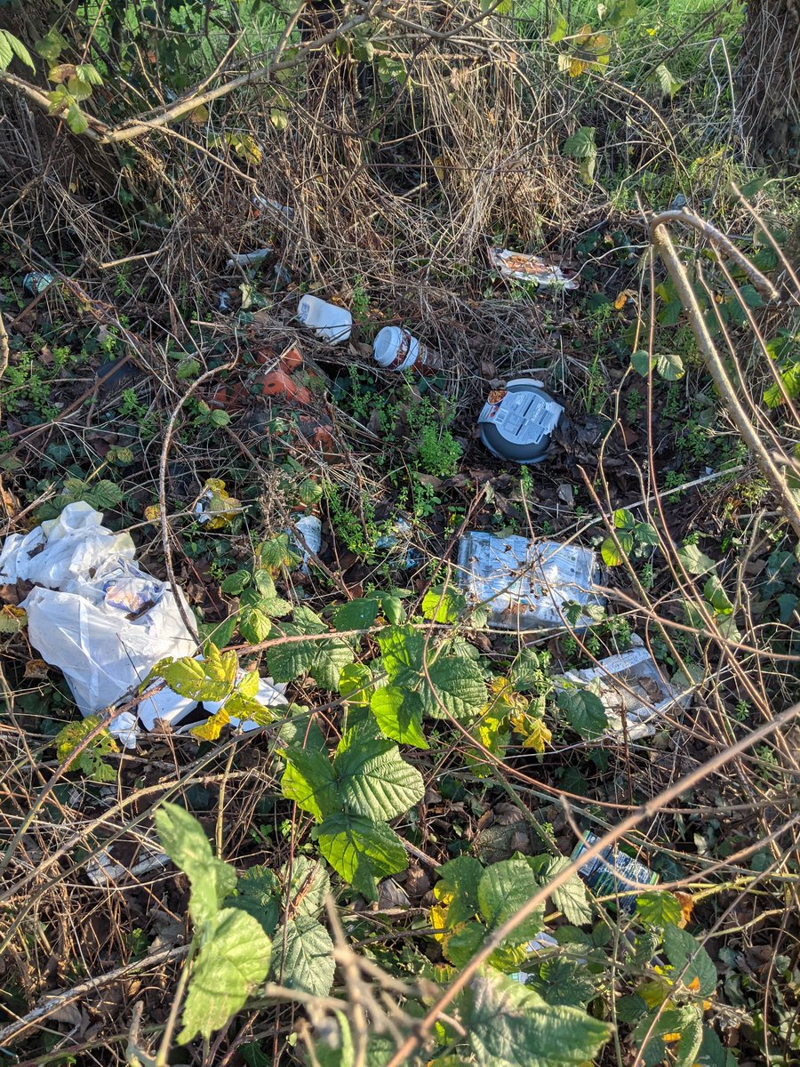 EricTorrington's tweet photo. Appalling levels of #litter in lay-by hedges on the #A38 #Gloucestershire. Over 1,540 items across two today. Several black bags fly-tips recovered despite bins in the area. Some bins have taken a hit with the Christmas deluge likely to get worse over the next few days. https://t.co/E2LYOPVV3H
