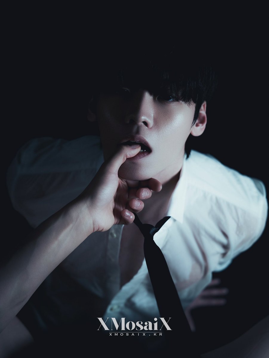 석정로 tweet media