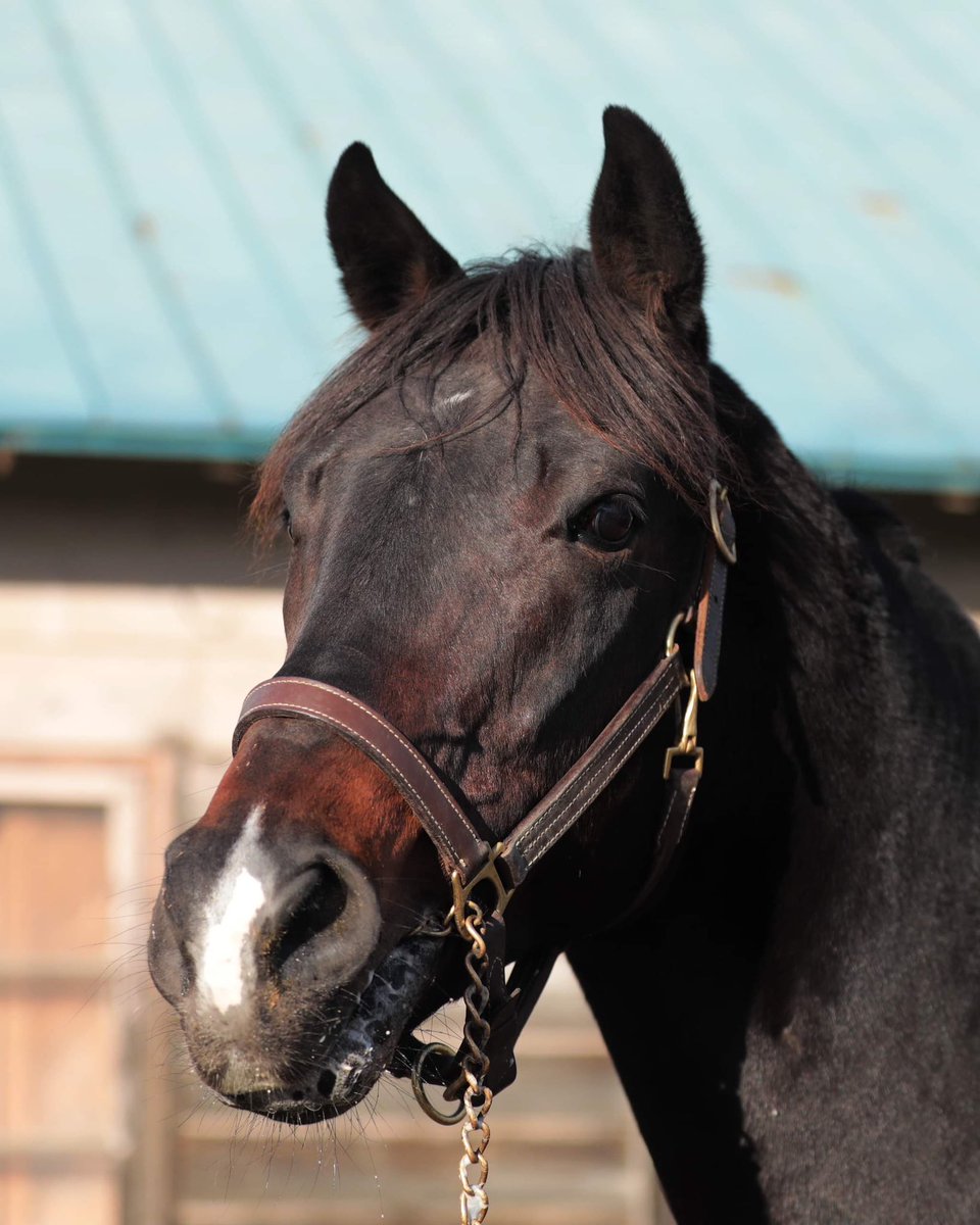 佐々木拓也 tweet media