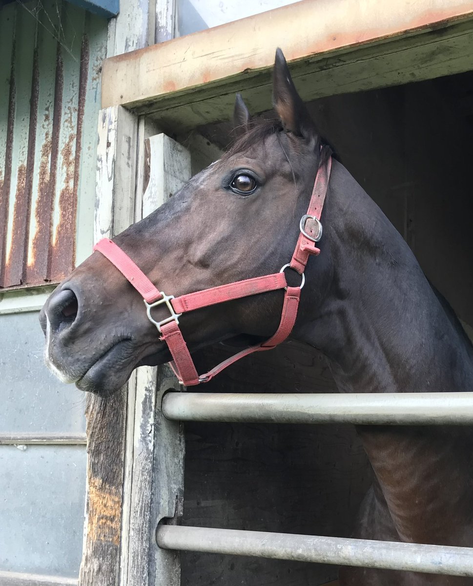 佐々木拓也 tweet media