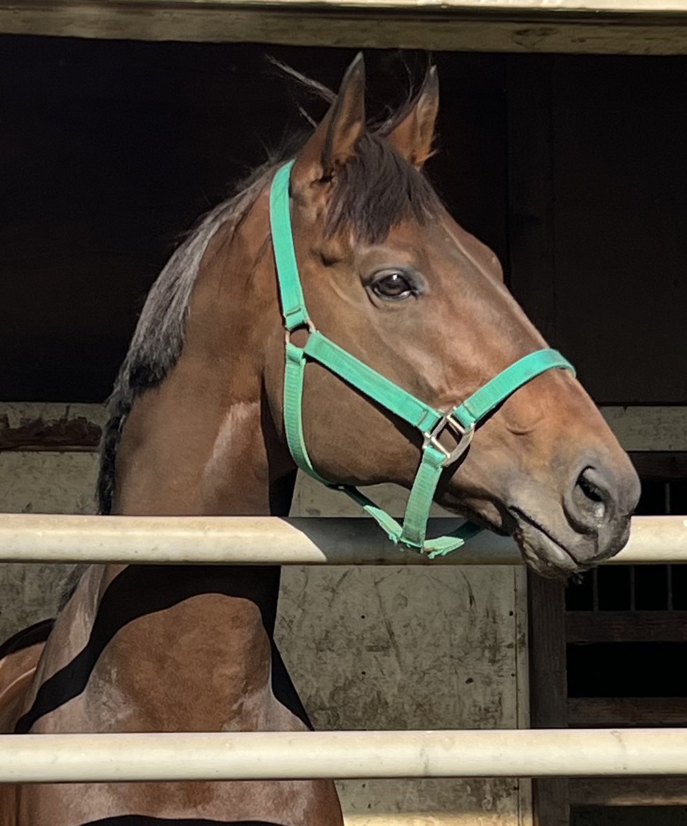 佐々木拓也 tweet media