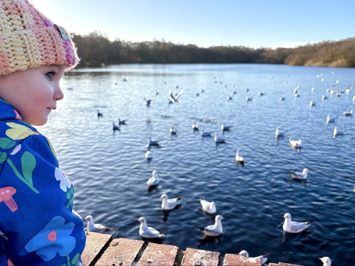 high stride society tweet media