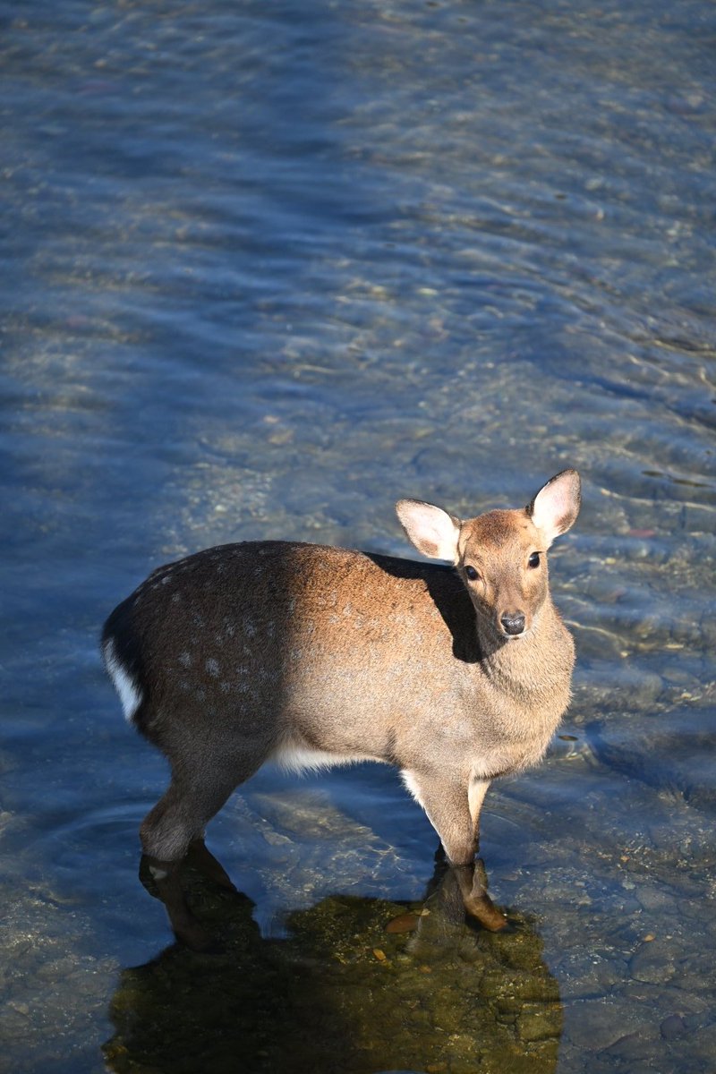 Izuuu (@Izuuu55GO) / Posts / X