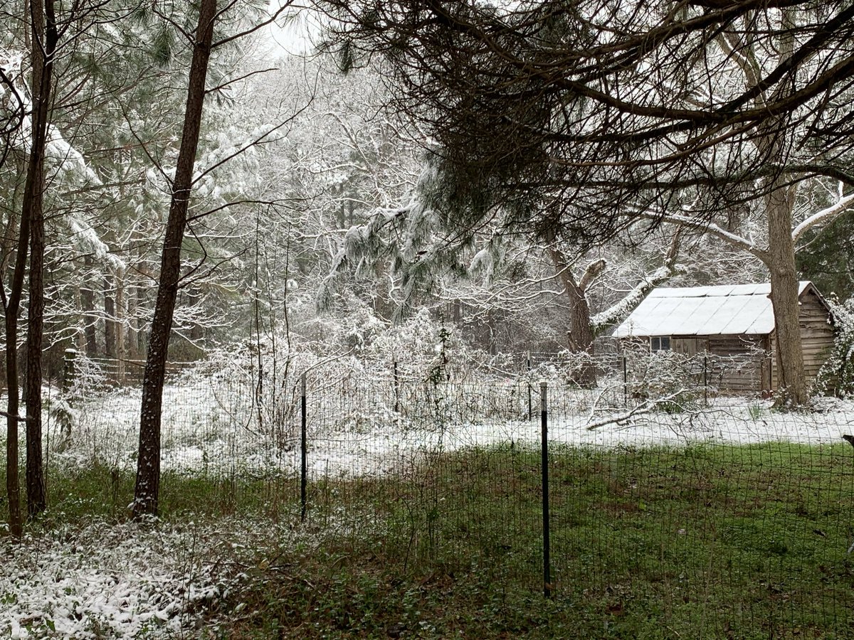 MelaSwan7's tweet photo. My yard looked like some kind of mystical fairy land the last time it snowed. I can just imagine Tae acting out some elaborate scene if he saw it. #SceneryForTae https://t.co/rR2Ocxe8mh