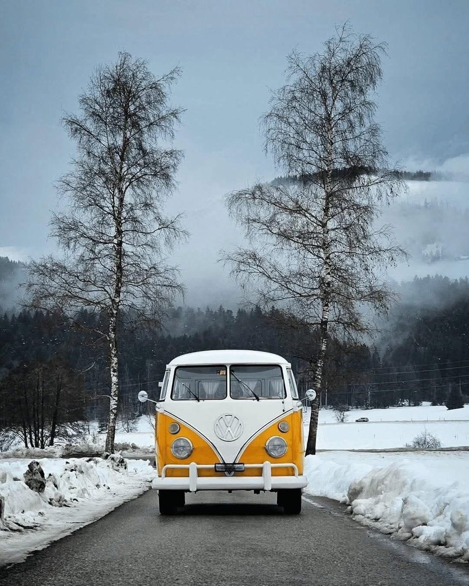 marcoan7339's tweet image. 