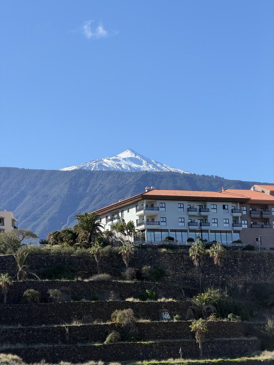 r 𓆩ᗢ𓆪 ☁️ tweet media