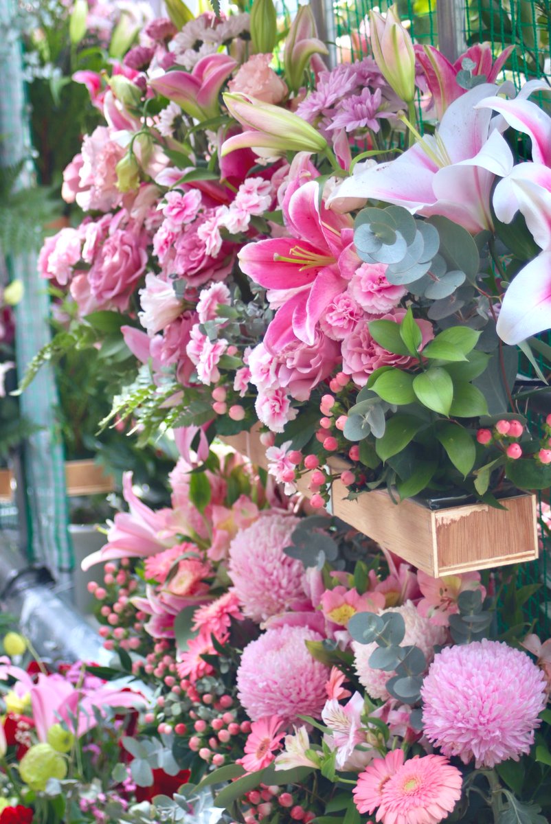 ryuページです⭐︎ ryu ryu 🍥 ❌No DMs please🍥🐯🎹🎸 fx 🍚🌼🍺… (@ryuryu20981567