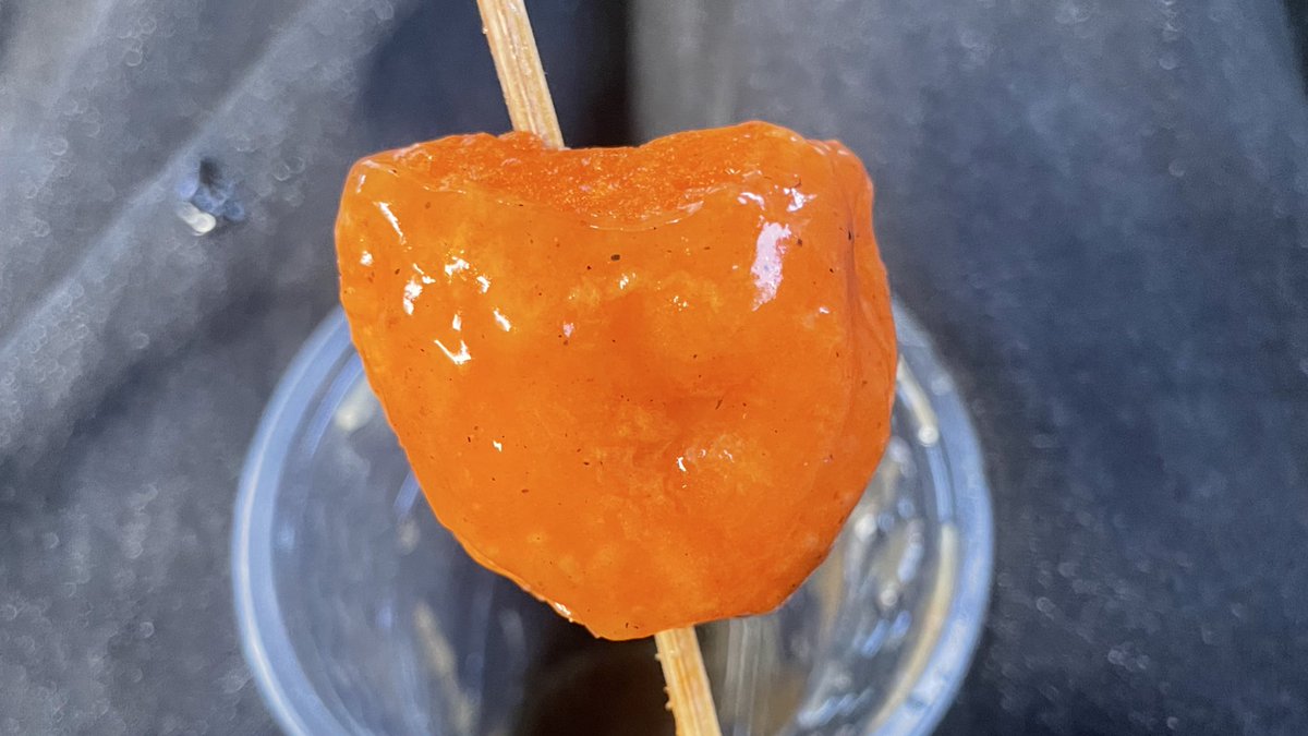 bloomsofmay's tweet image. proof of life 🫗