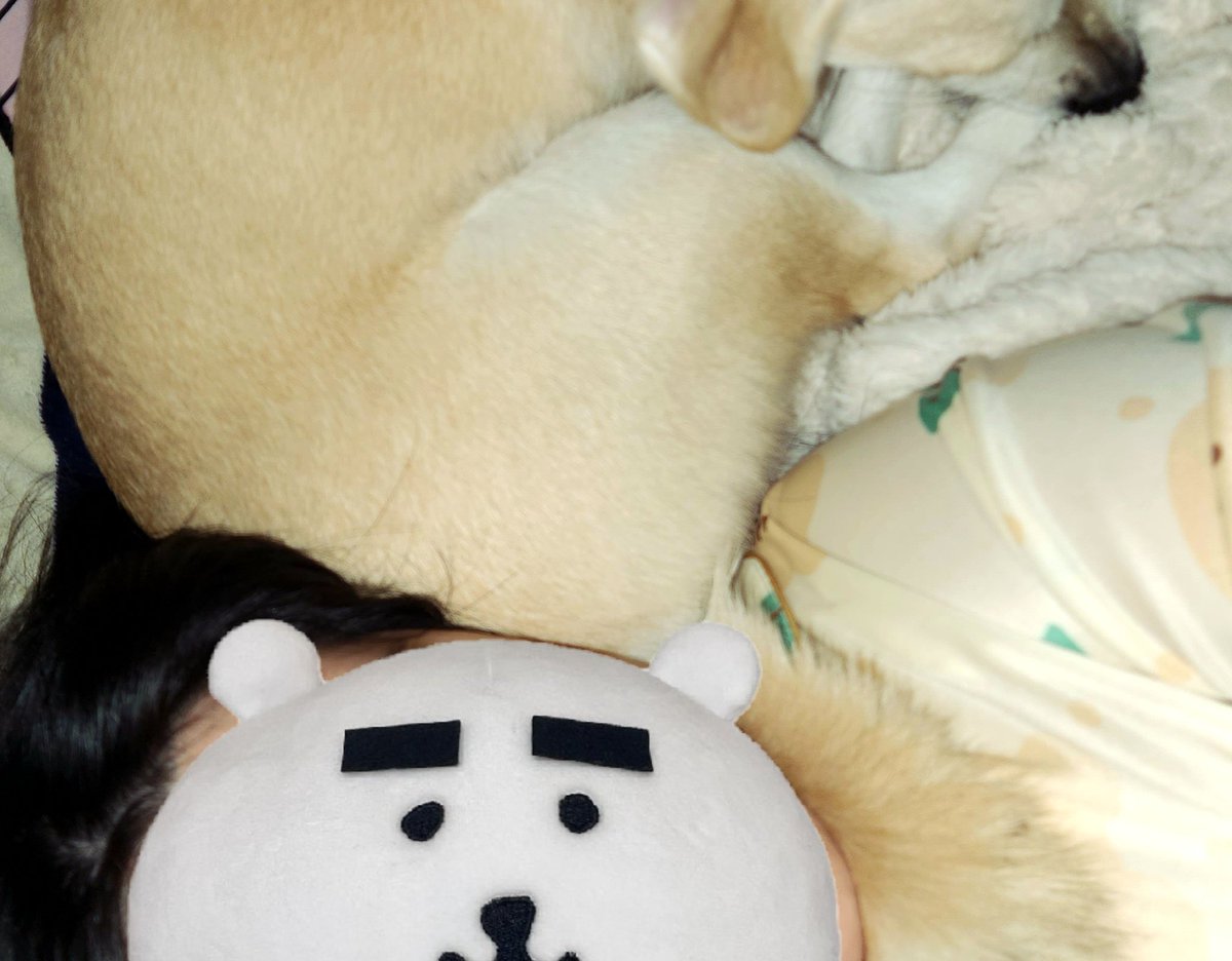 mrokaaay's tweet photo. 야
방댕이 치워 https://t.co/H6cSs0FVO6