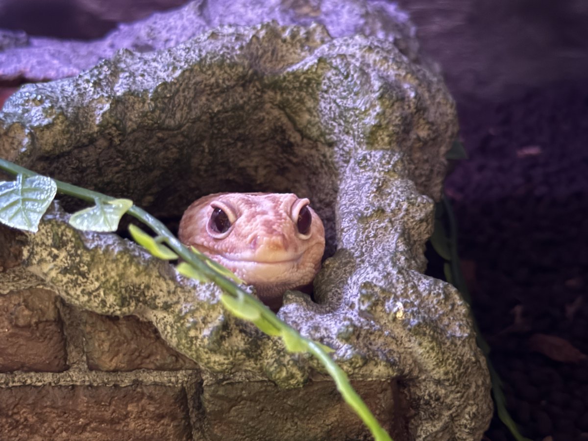 たなキャちゃんねる tweet media