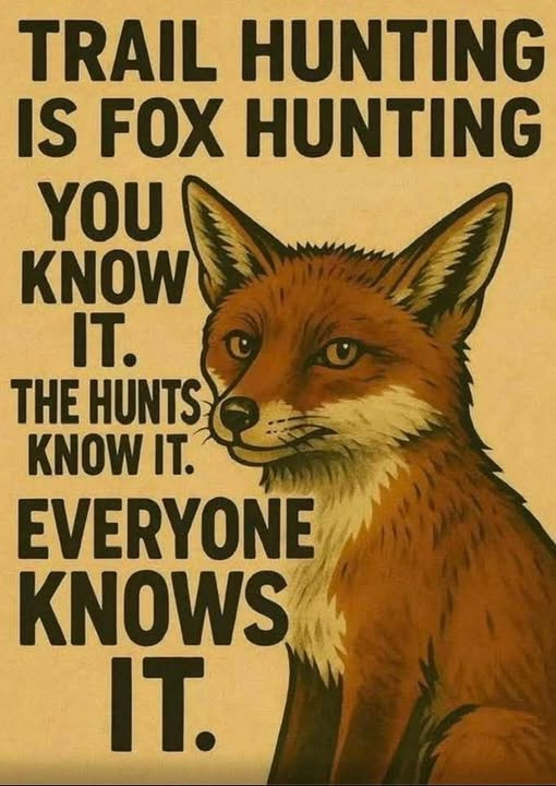 HsaChair's tweet image. Thanks to East Kent Sabs for the image