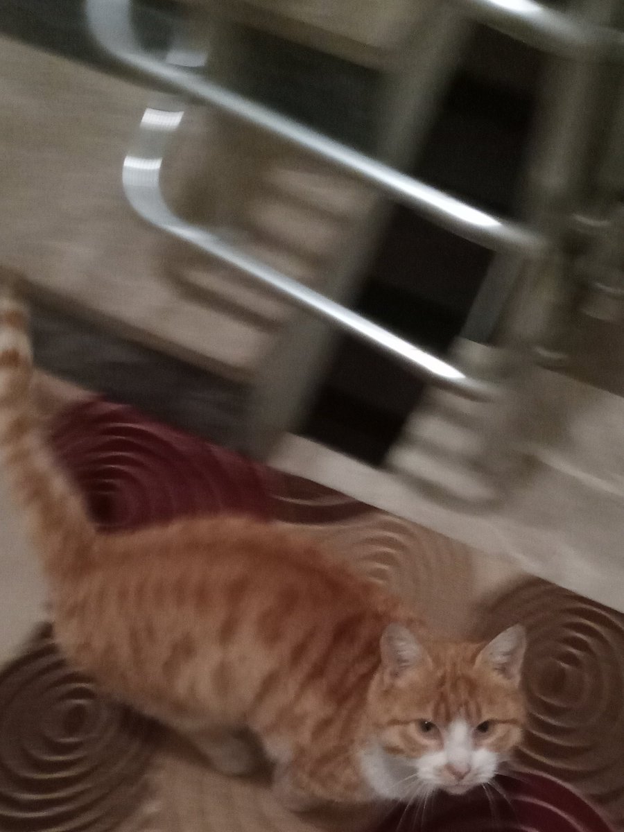 Merdivenleri yeni sildim aşağı in
Miyhair
Halıya tuyun yapıyor aşağı in
Miyhayir
SEENİİ MİKROPP