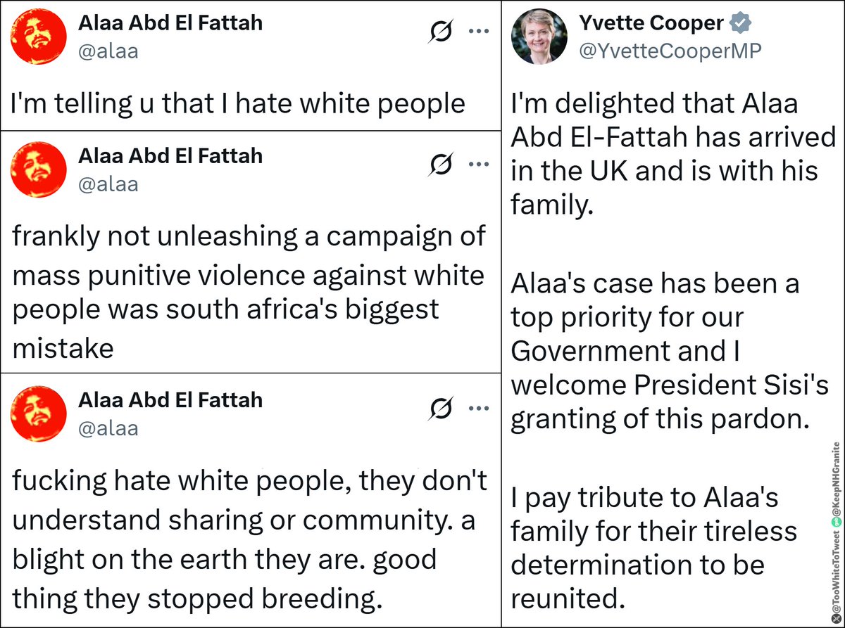 While Englishmen are imprisoned for opining against replacement migration, a "top priority" of the British government is securing the release of an openly anti-White Egyptian criminal from prison in Egypt, and bringing him to the UK so he can continue spreading anti-White hate.