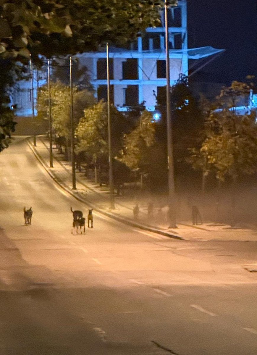 Sabah iş servisine binmek için yürüyen vatandaşın karşılaştığı manzara. Buradan bir insan nasıl yürüsün?

Zenginin köpek sevgisi fakirin canına kast ediyor. <a href="/TC_istanbul/">TC İstanbul Valiliği</a> <a href="/TC_sancaktepe/">T.C. Sancaktepe Kaymakamlığı</a>

Sancaktepe Abdurrahmangazi Mahallesi