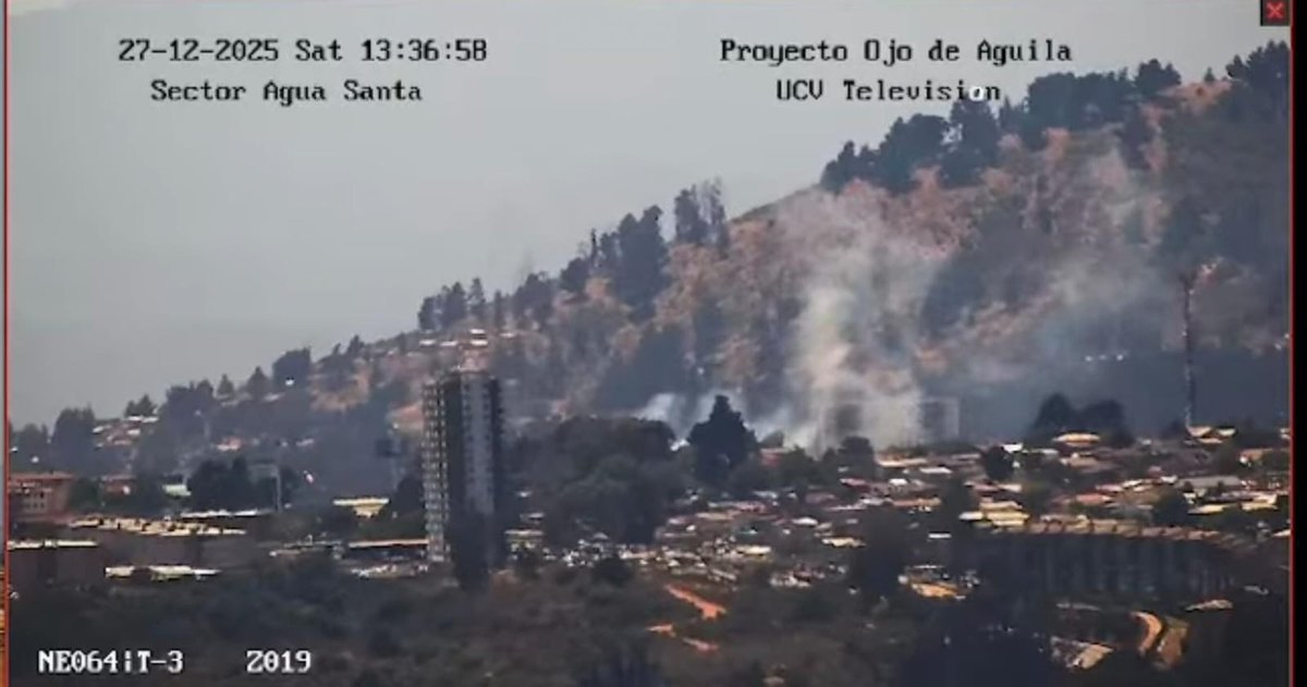 #AHORA: Incendio forestal en Santa Juana con Avenida Alessandri.