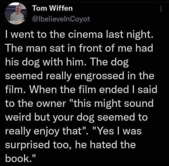 RodWilliamsRock's tweet image. Dogs love movies