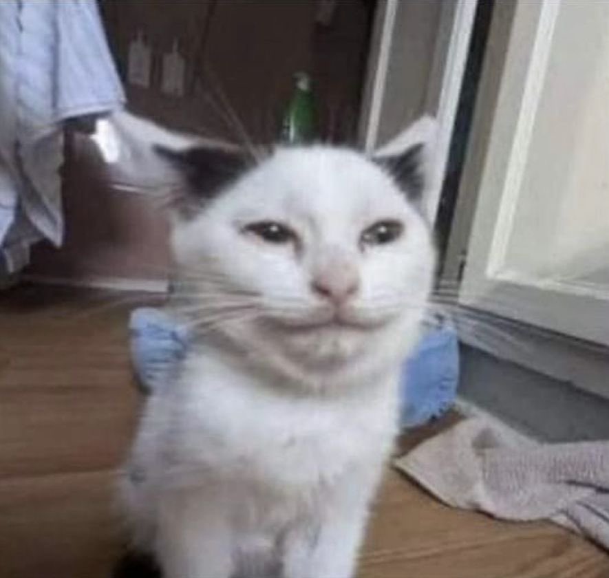 Bribleed's tweet image. I can physically feel the double chin forming.