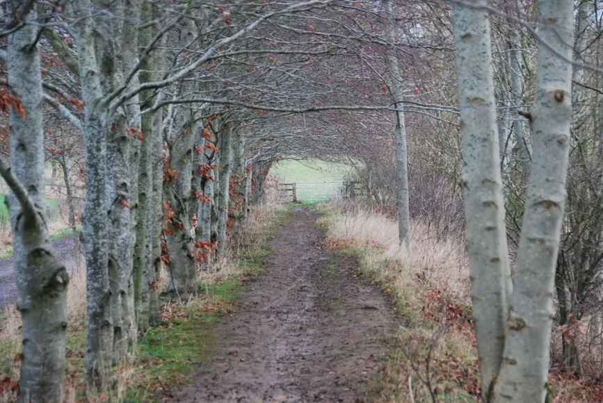 Mark Landreth Smith tweet media