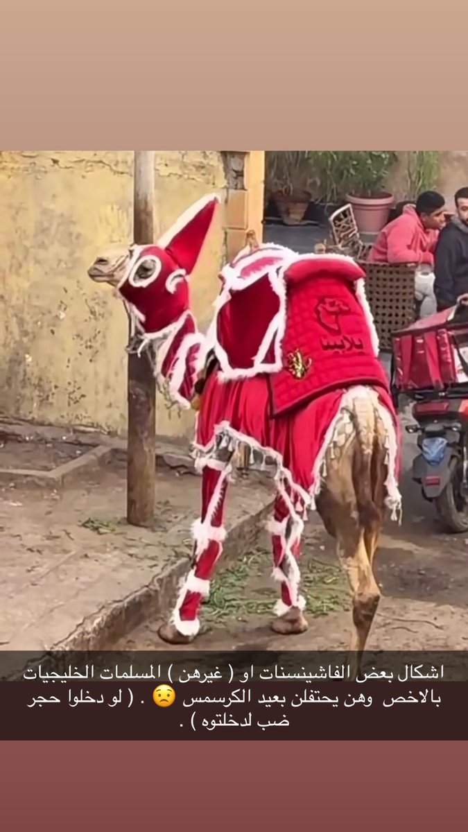 hendses's tweet image. 