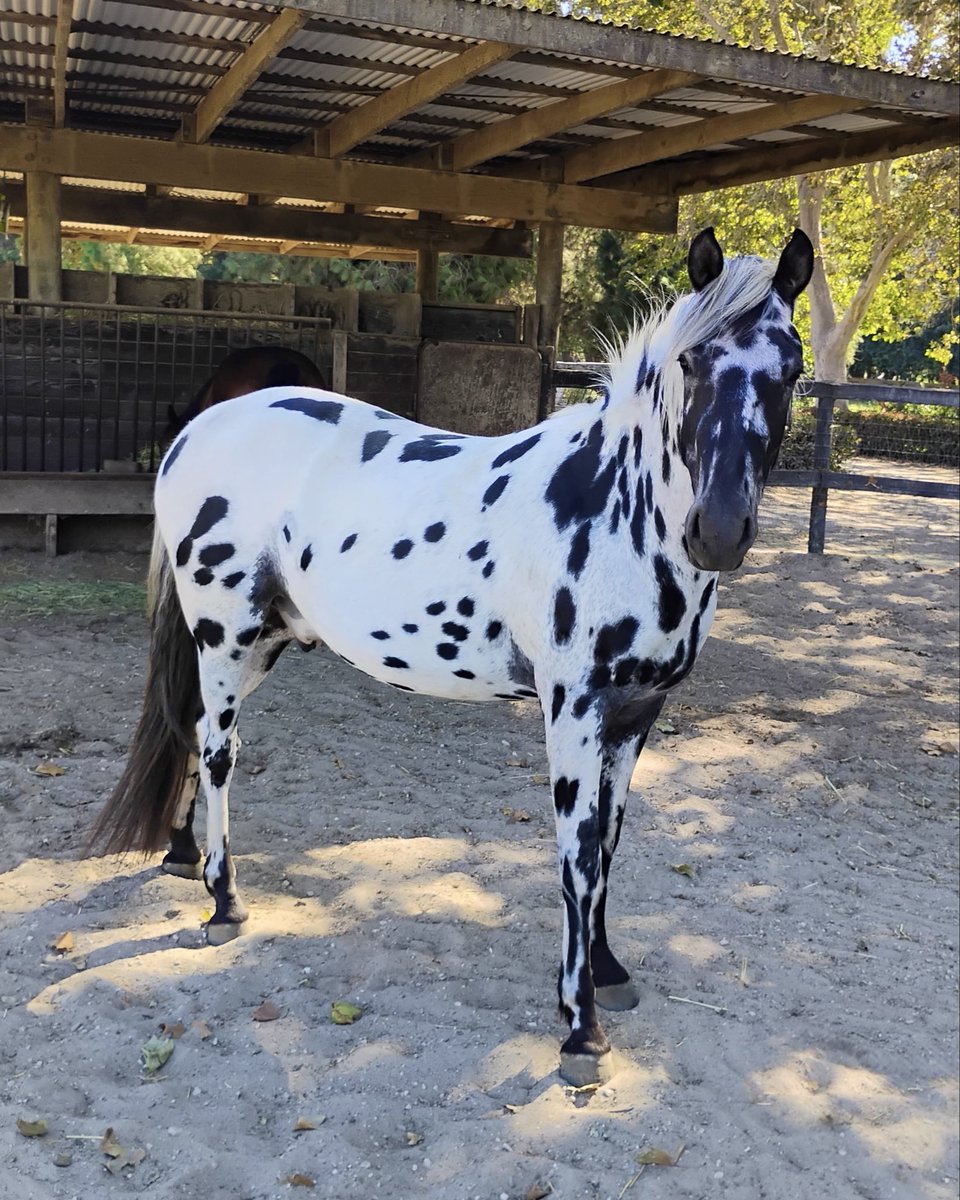 TONY LUU 劉 tweet media