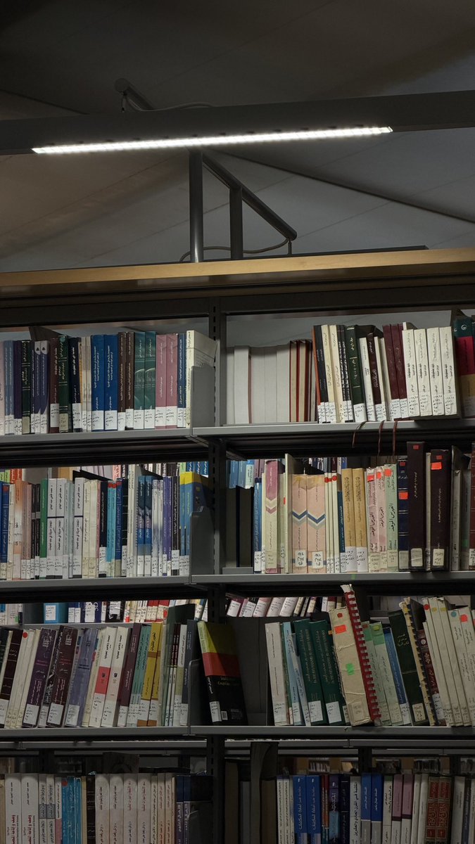 مُهند tweet media