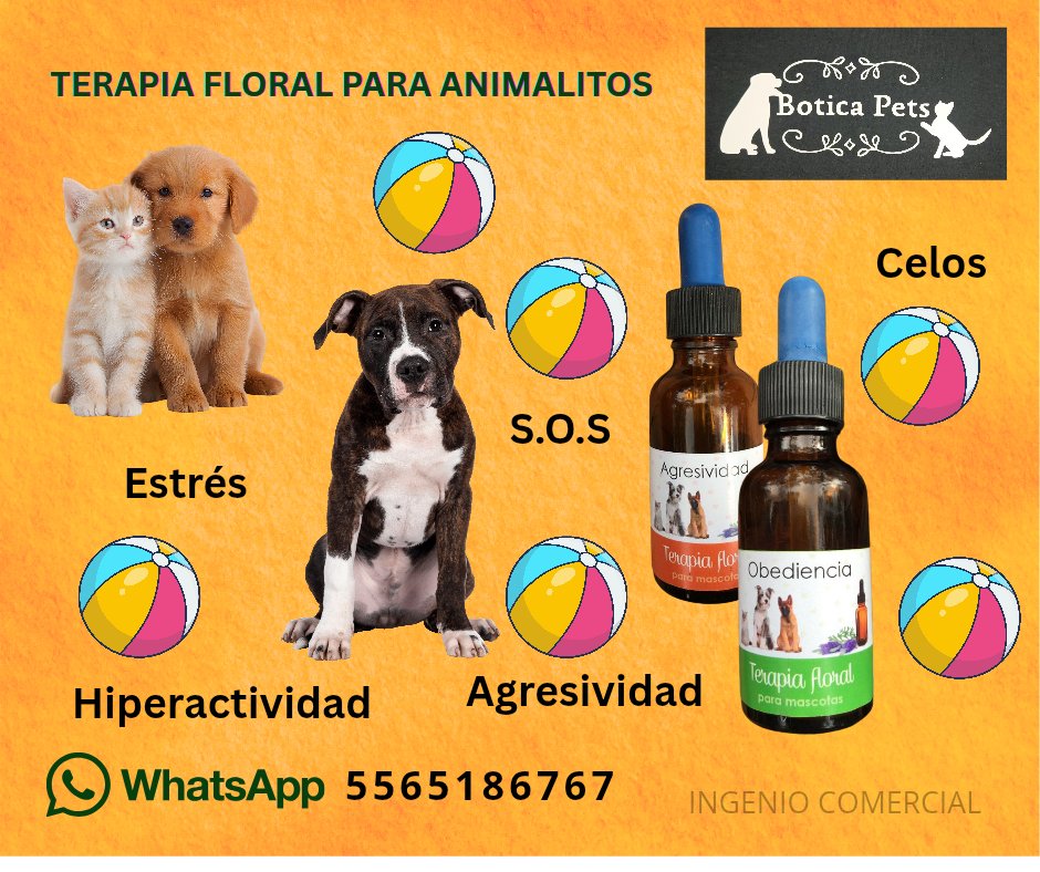 BoticaPets's tweet image. 