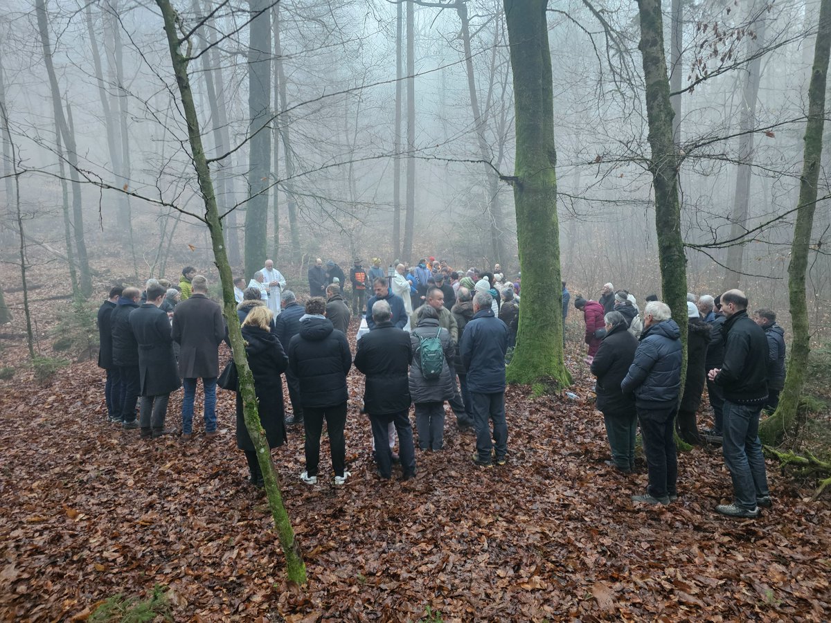 JozePlut's tweet image. Na dan pred praznikom Nedolžnih otrok smo darovali mašo pri Matjaževi jami pri Pevnem (Župnija Stara Loka) v neposredni bližini znamenitega Crngroba, streljaj od Šk. Loke, kjer so kmalu po končani vojni leta 1945 komunisti pobili 300 nedolžnih (hrvaških) otrok.