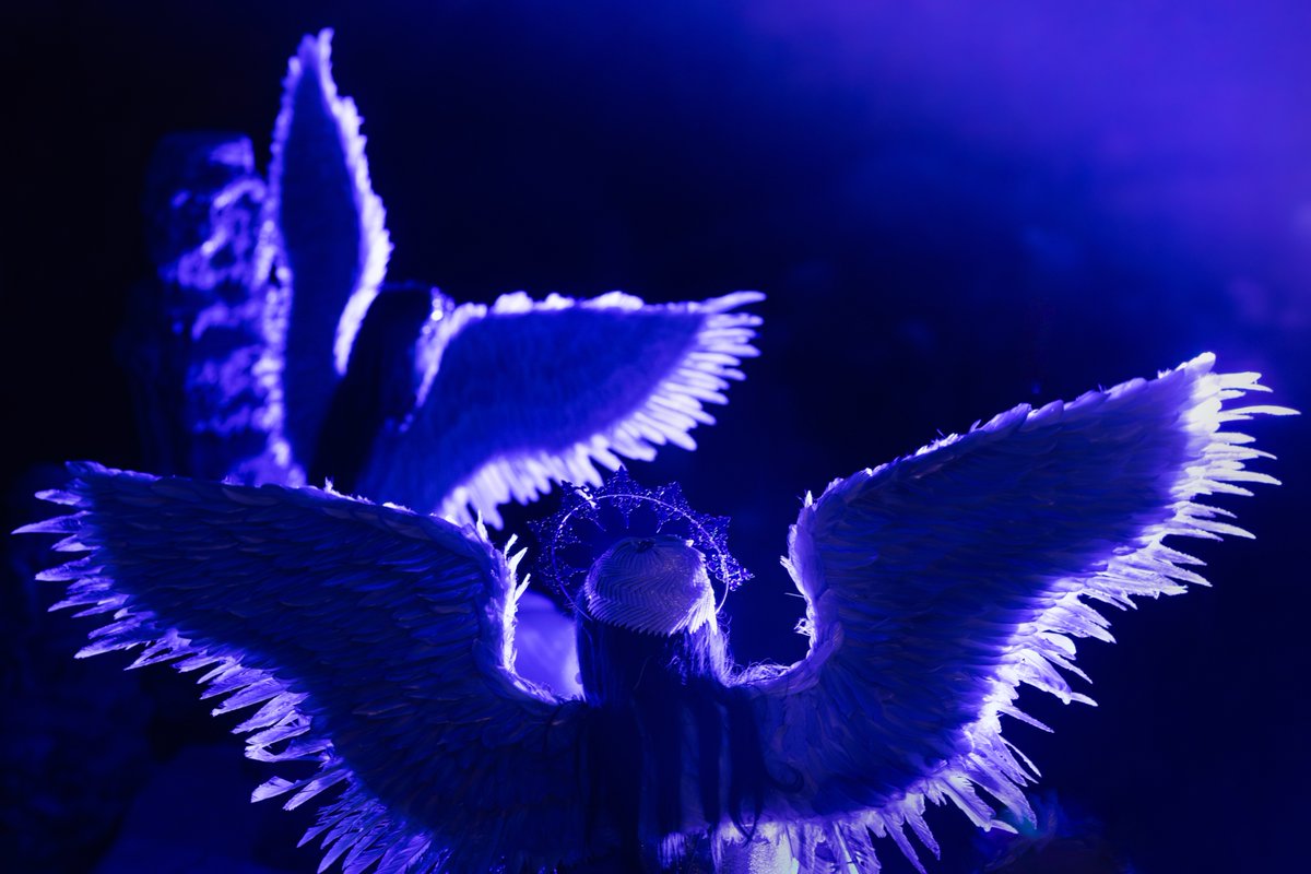 Med sanjami in resničnostjo #StaneJeršič #Fotografija