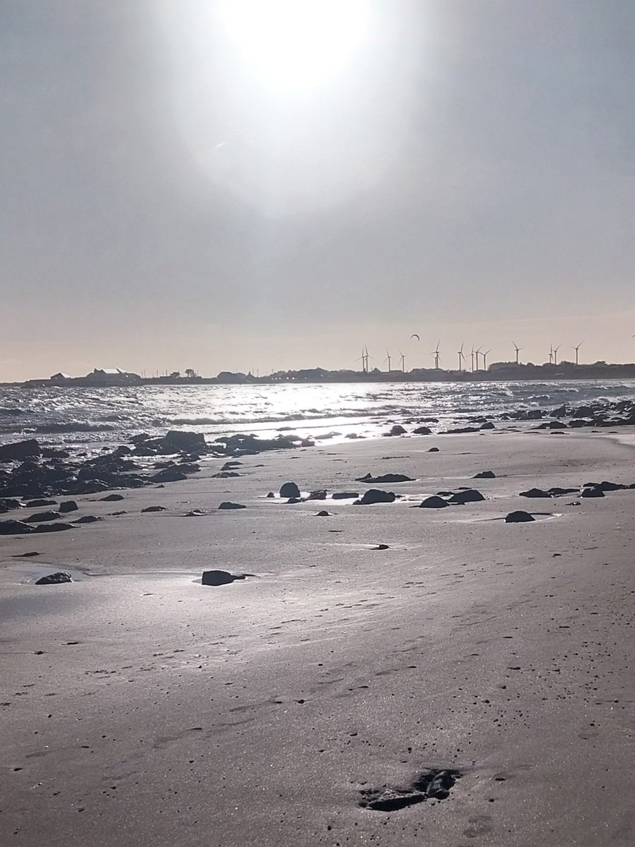 Iar Ard Mhéara Chorcaí, Cllr. Dan Boyle tweet media