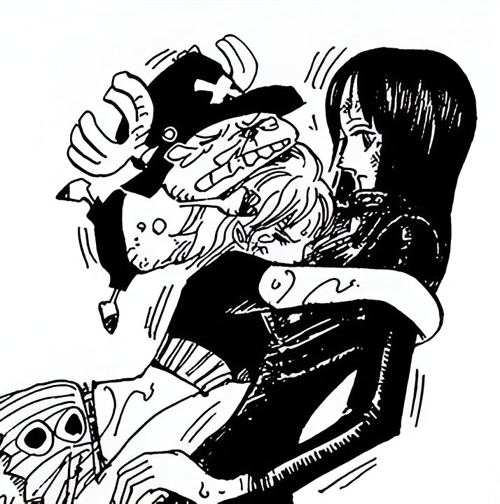 Nico Robin Comfort tweet media