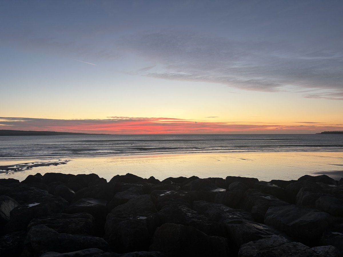 Karol O'Brien tweet media