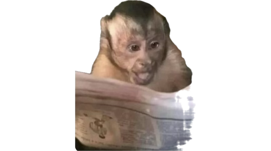 Gerardo Estrella tweet media